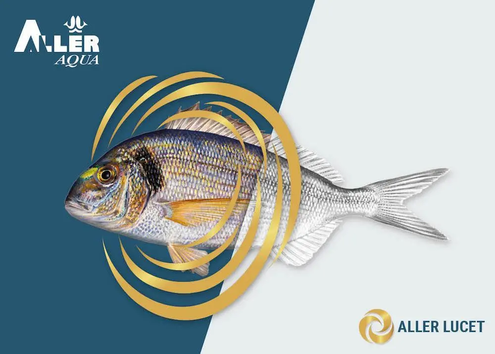 Enhanced sea bream diet for deeper colour