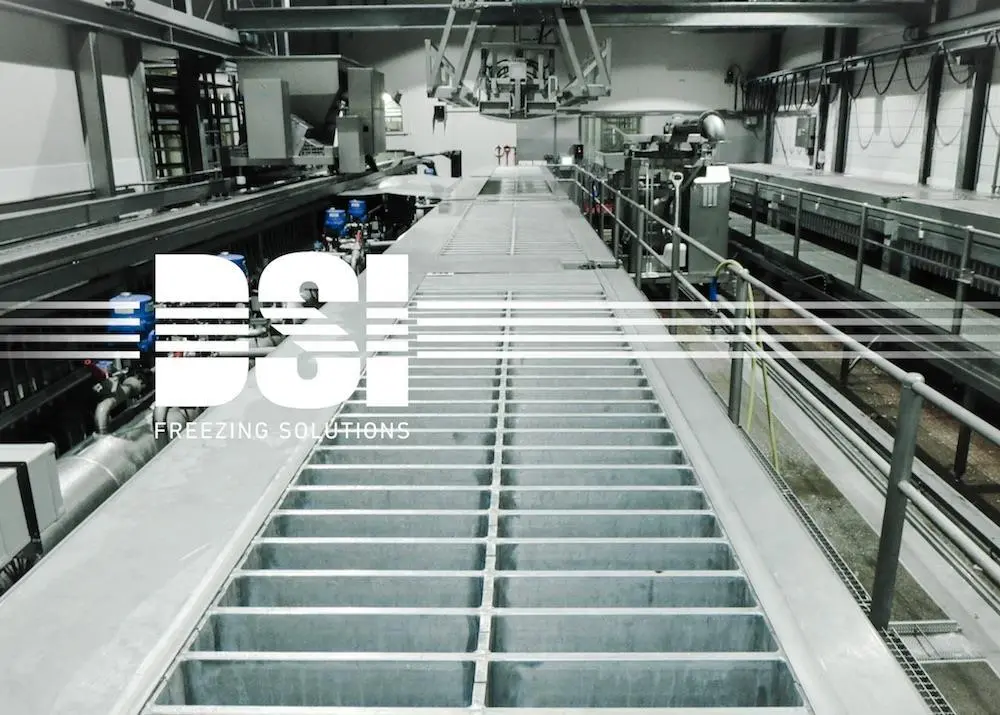 DSI has acquired CES and Dantech Photo: DSI