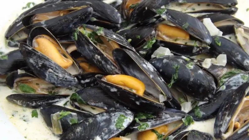 Where next for British shellfish?