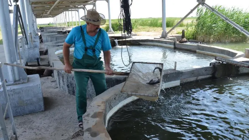 Kazakhstan sets ambitious aquaculture goals
