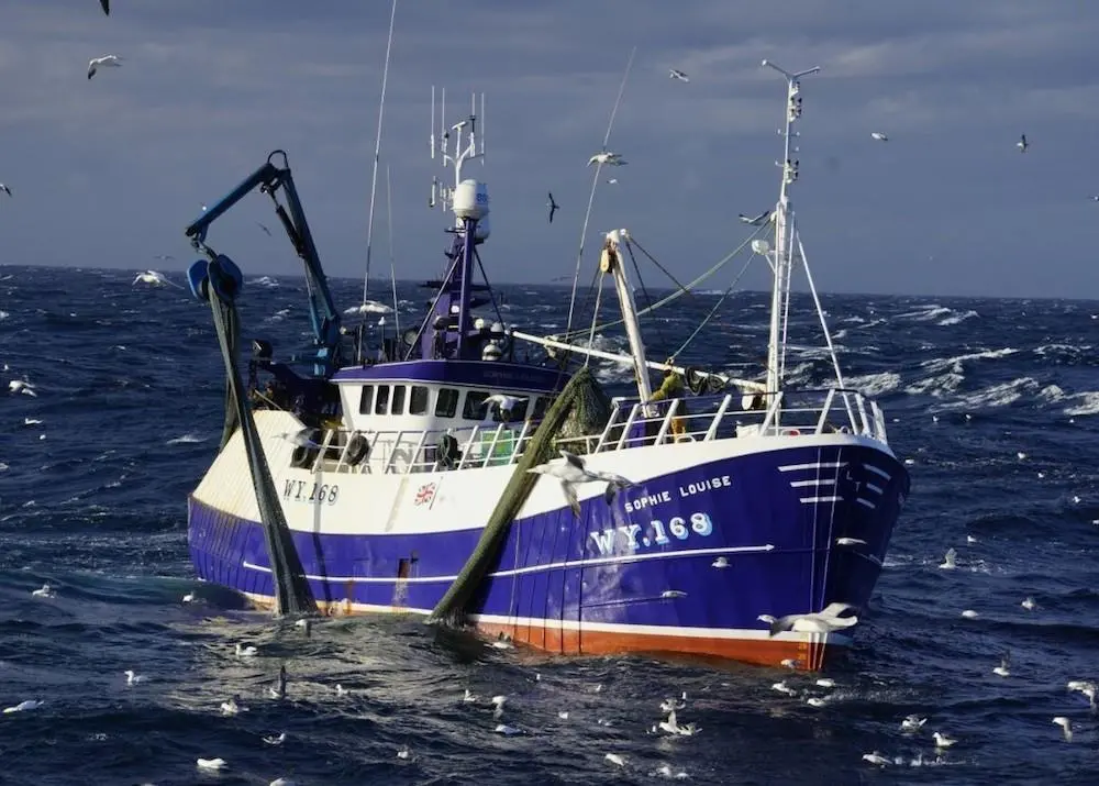 UK fishing