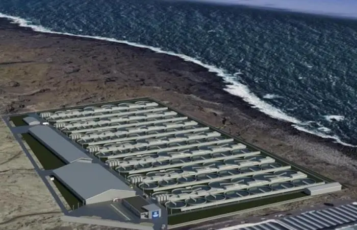 Samherji to set up land-based fish farming