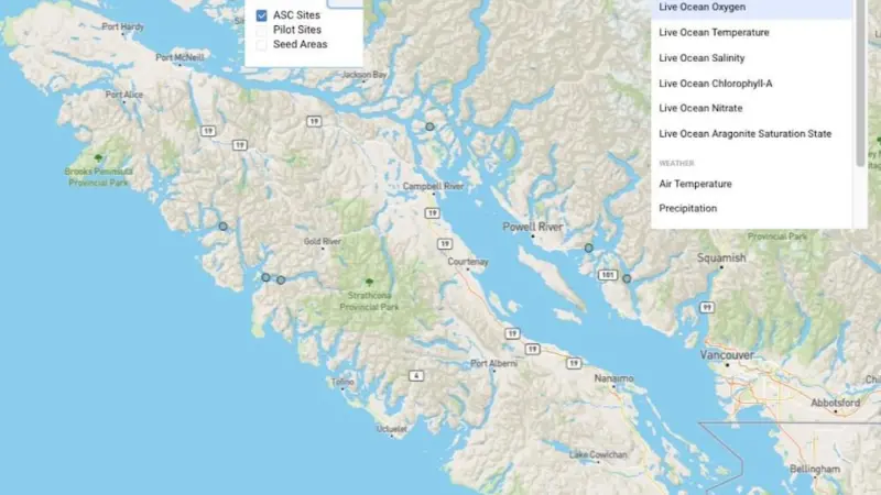 Scoot Science’s SeaState dashboard helps fish farmers understand ocean environments Photo: Scoot Science