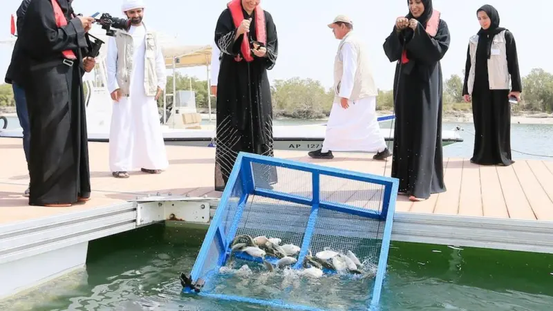 Rebuilding Abu Dhabi Fisheries