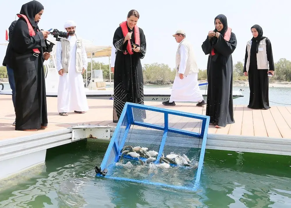 Rebuilding Abu Dhabi Fisheries