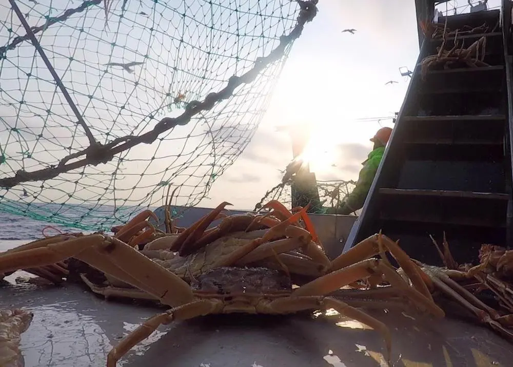 Russian Crab Company sales are up 35% in a year