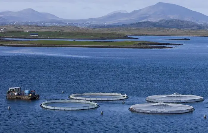 Focus on emerging technologies in aquaculture