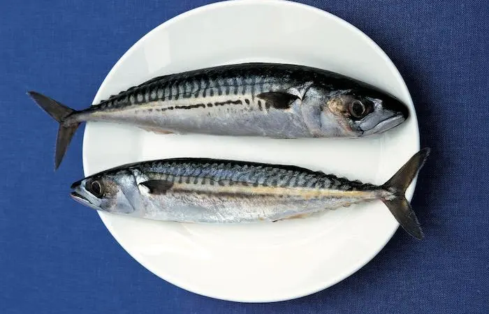 Pandemic turns people onto pelagic fish