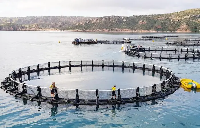 Barramundi Group has floated on the stock market Photo: Barramundi Group