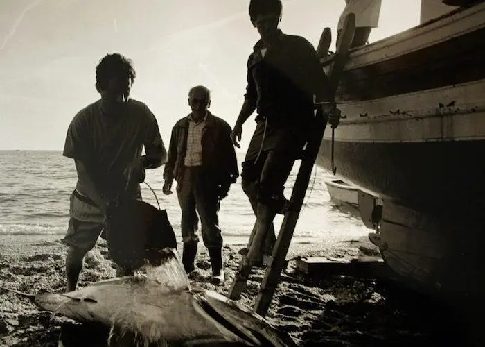 Small-scale tuna fishers in France have won a historic court victory over access to fishing rights Photo: LIFE