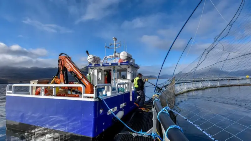 Making Aquaculture More Transparent