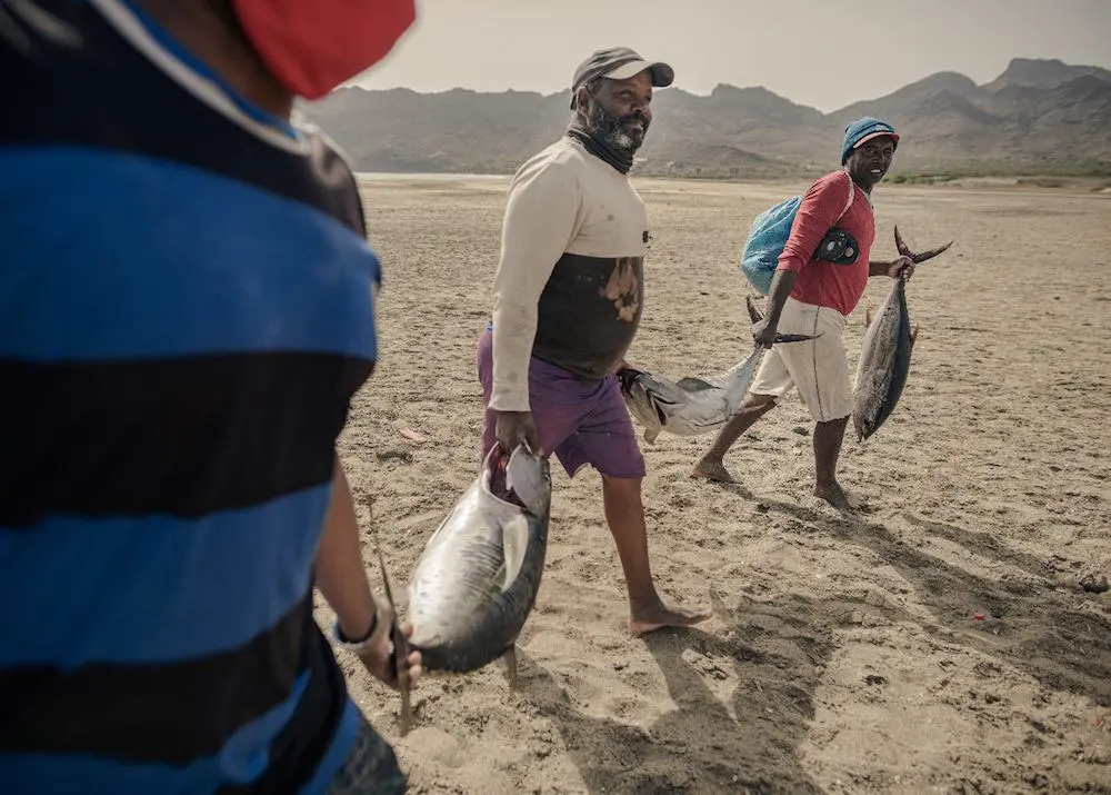 bigeye tuna fishing