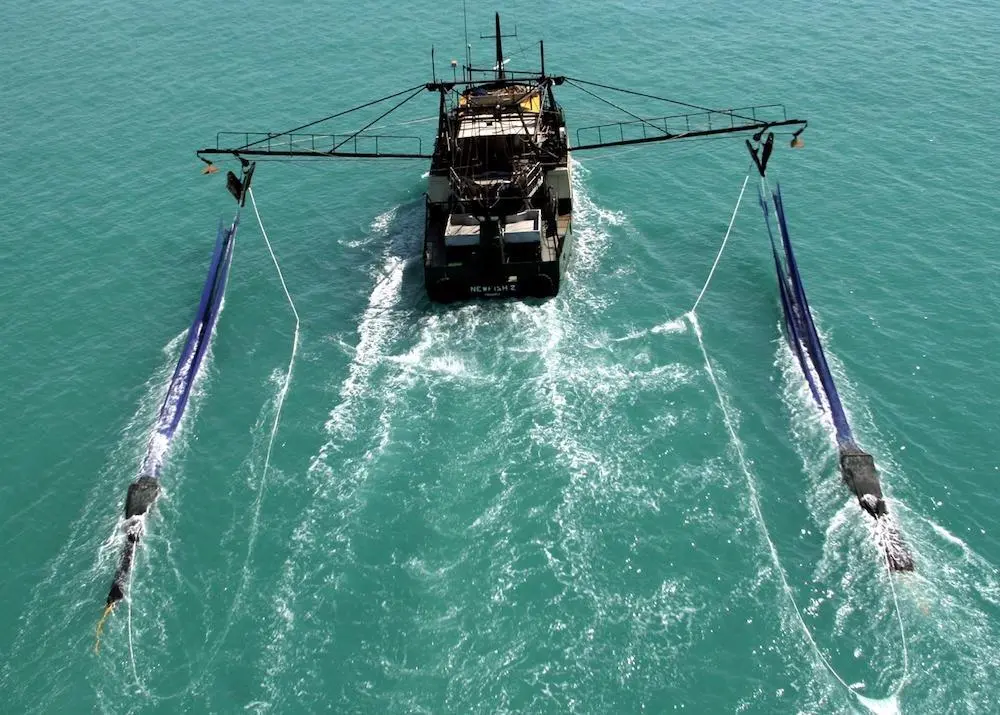 Managing fisheries in a changing climate