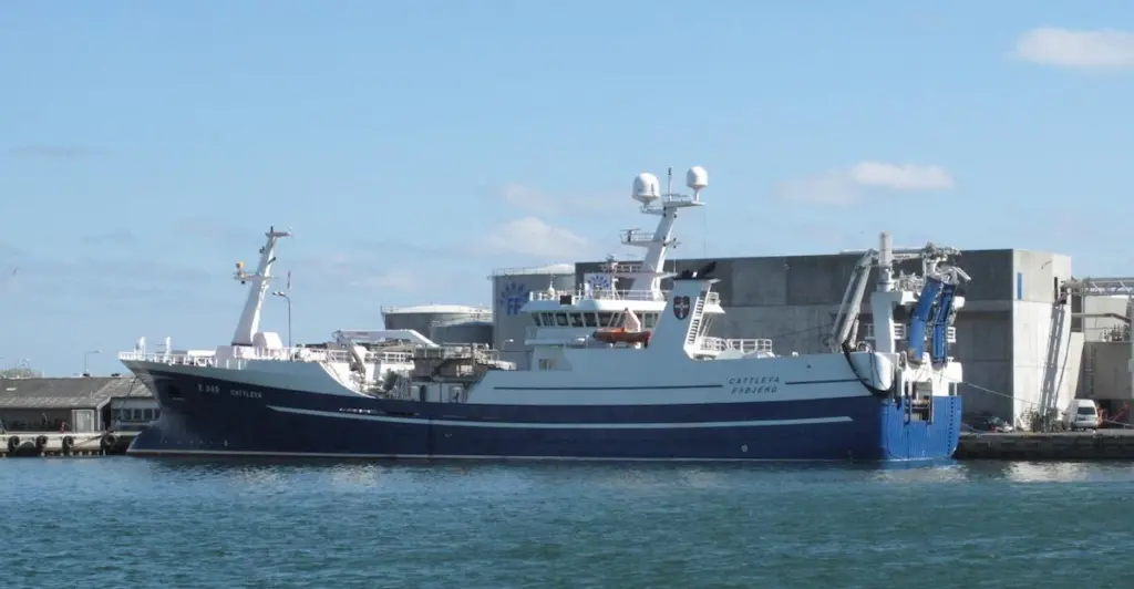 Negotiations are in progress on the division of next year’s NE Atlantic pelagic quotas