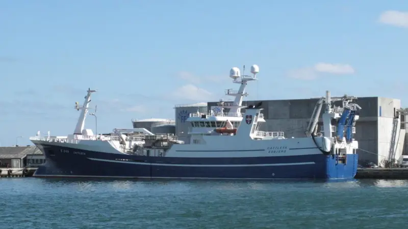 Negotiations are in progress on the division of next year’s NE Atlantic pelagic quotas