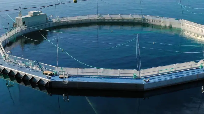 A semi-closed fish farm installation in a Norwegian fjord. Photo: LLS