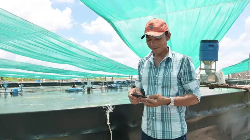 A Vietnamese shrimp farmer uses XpertSea's app