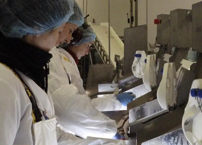 workers
