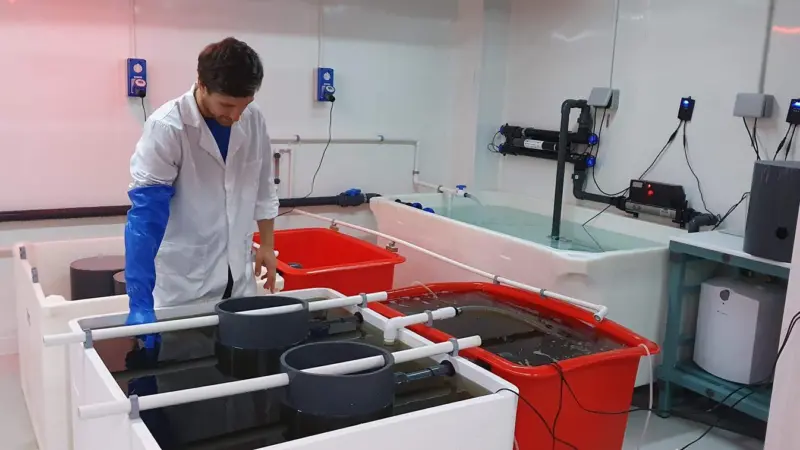 Orkney Shellfish Hatchery wins educational grant