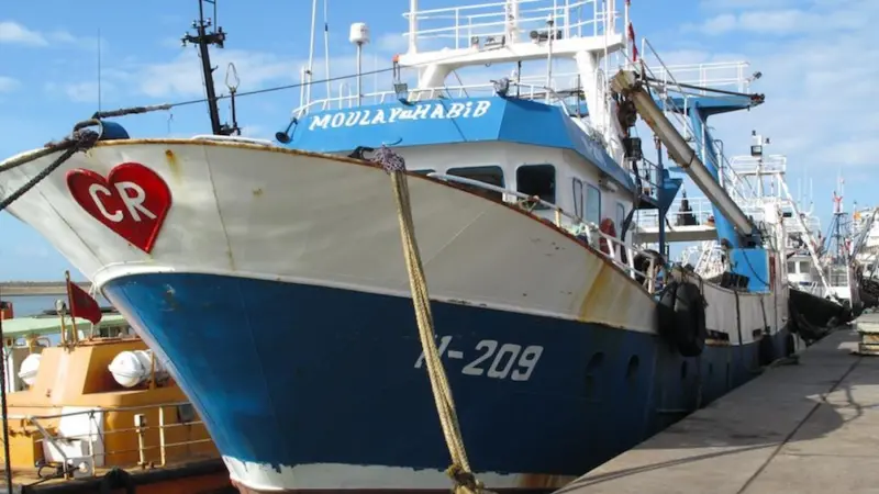 The current EU-Morocco Sustainable Fisheries Partnership Agreement and its implementation protocol came into force in July 2019