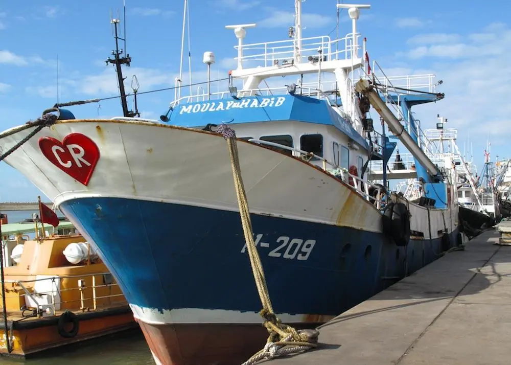 The current EU-Morocco Sustainable Fisheries Partnership Agreement and its implementation protocol came into force in July 2019