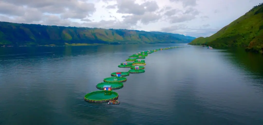 Benchmark.New Lake Toba (002)[1]