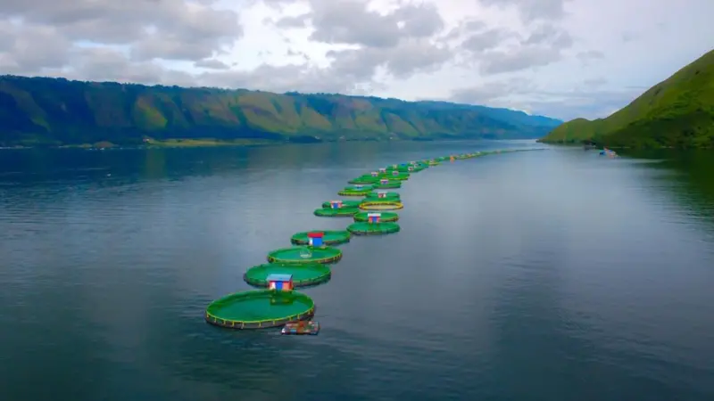 Benchmark.New Lake Toba (002)[1]