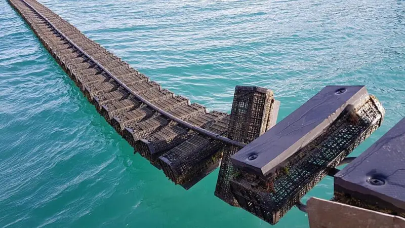 FlipFarm Systems’s process eliminates much of the backbreaking labour associated with oyster aquaculture. Photo: GSA