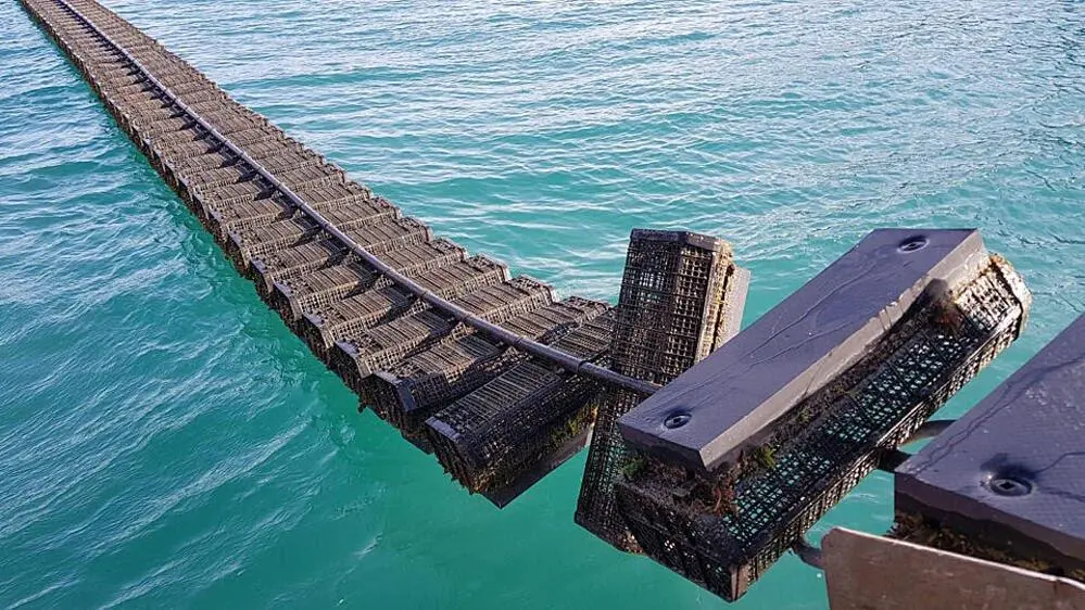 FlipFarm Systems’s process eliminates much of the backbreaking labour associated with oyster aquaculture. Photo: GSA