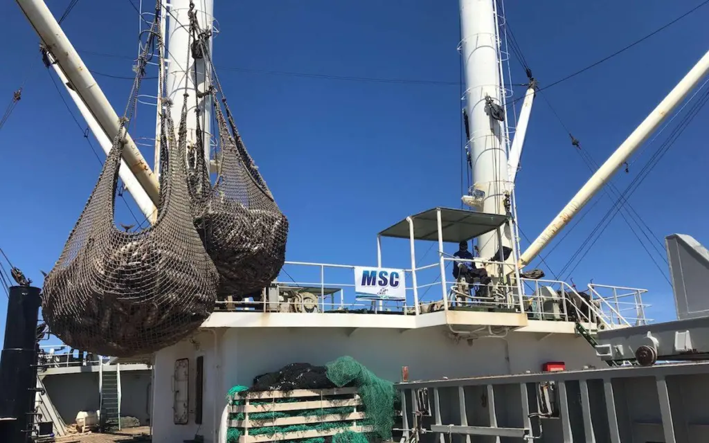 Tuna giant FCF has joined the Global Dialogue on Seafood Traceability (GDST). Photo: FSF