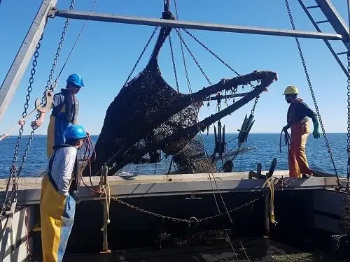Retrieval of ghost gear by CSR GeoSurveys. Photo: Fisheries & Oceans Canada