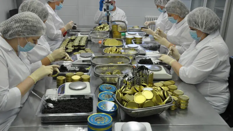 Russia is set to expand caviar exports. Photo: Russian Caviar House