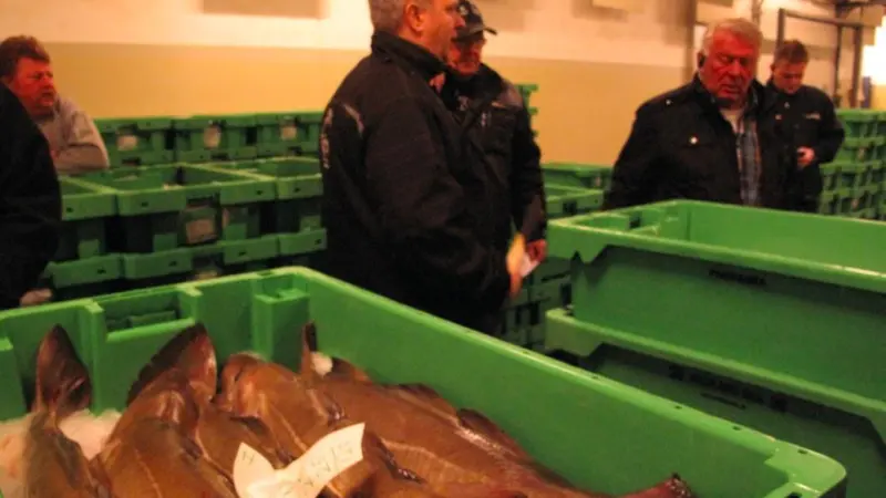 The Council has set a 97-tonne quota for cod in the Kattegat to cover unavoidable catches taken in other fisheries