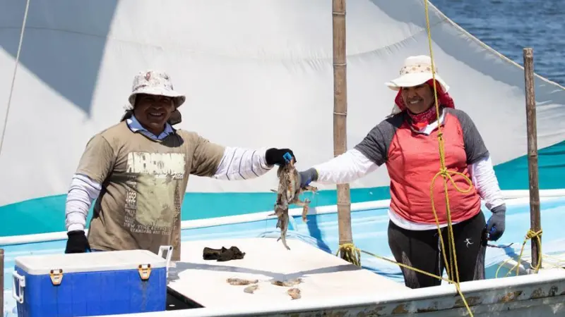 A husband-and-wife crew on one of the sail-powered boats that supply catches to Del Pacifico