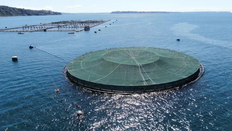 Ecosea.submersible cage -40m-EcoSea