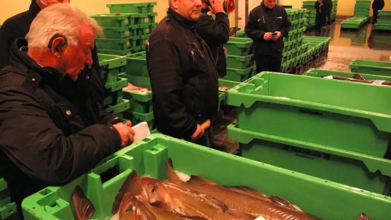 There is a 97-tonne quota for Kattegat cod to cover by-catches