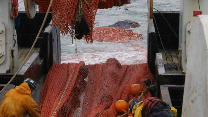 NOAA has two new survey team leads monitoring bottom-dwelling fish and crabs