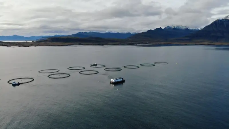 Ice Fish Farm