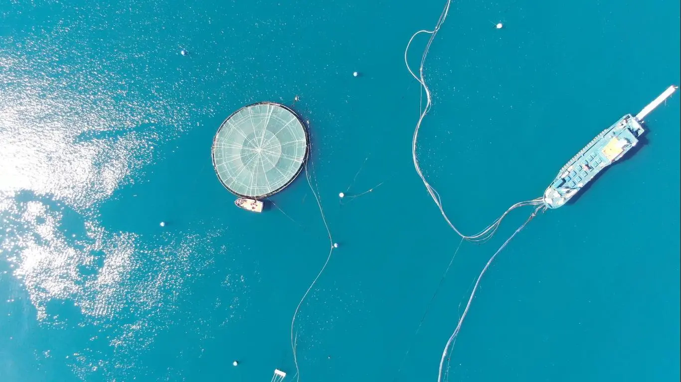 Ecosea.submersible cage -40m-EcoSea_01