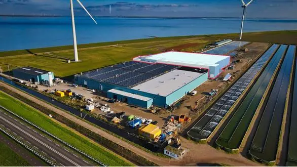 The Kingfish Company Netherlands