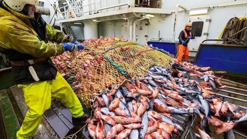 Brim’s fleet landed a total of 147,000 tonnes in 2021,19,000 tonnes more than the the previous year