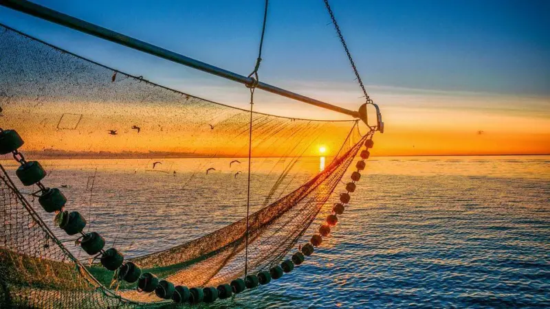 Trawl nets