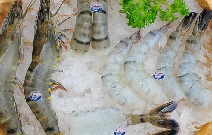 Vietnam Shrimp Exports 2021