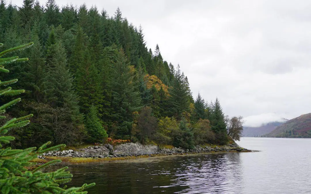 Loch-Long-Salmon-53-1080x675