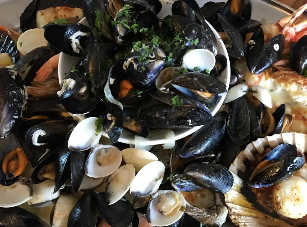 Bivalves