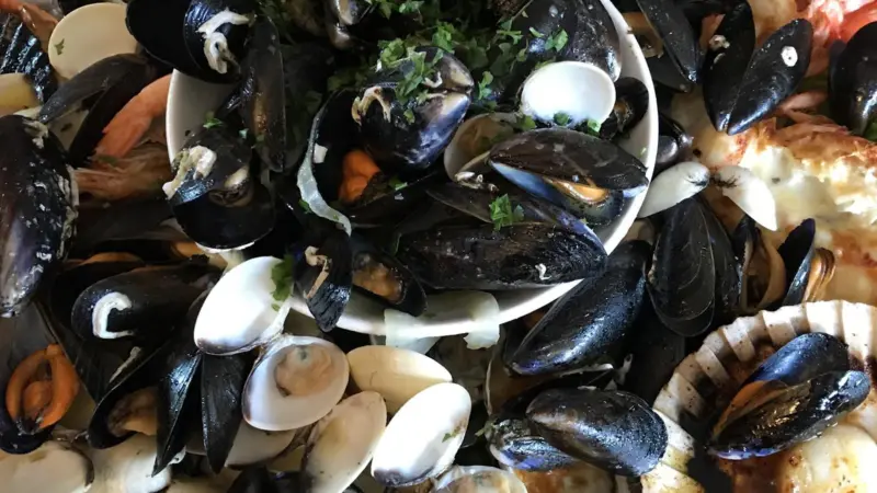 Bivalves