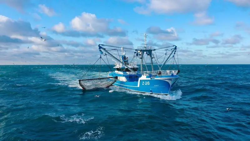 Beam Trawler Z-26 Avanti