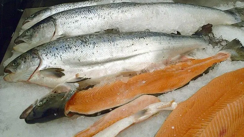 Salmon is the UK's largest food export
