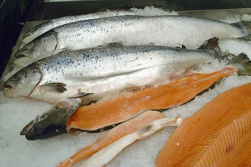 Salmon is the UK's largest food export