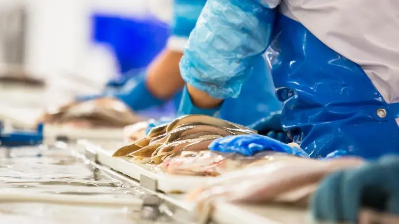 US seafood processing